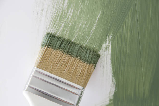 Best Mold Odor Removal Services  in Alliance, NE