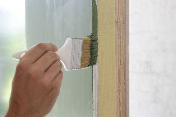Best Emergency Mold Remediation  in Alliance, NE