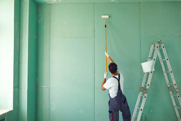 Mold Documentation for Insurance Claims in Alliance, NE