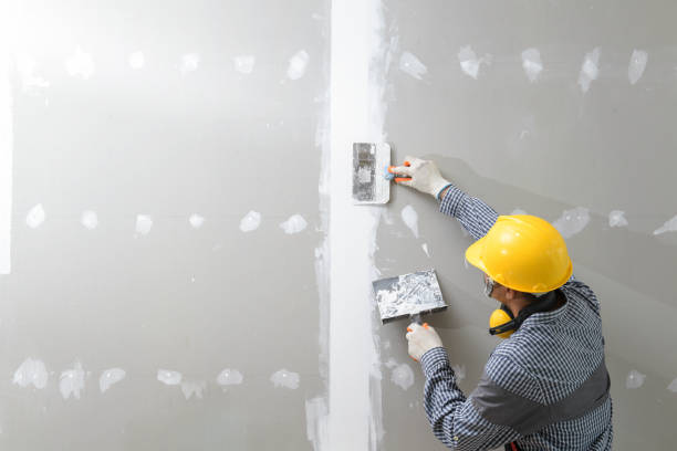 Forensic Mold Investigation in Alliance, NE