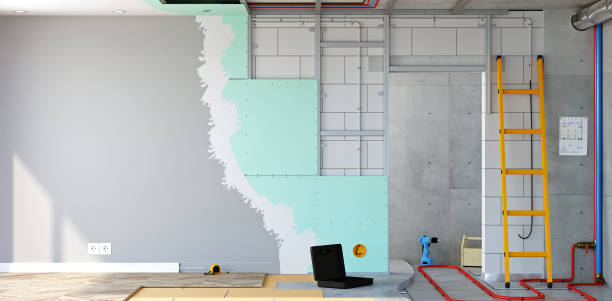 Best Attic Mold Removal  in Alliance, NE