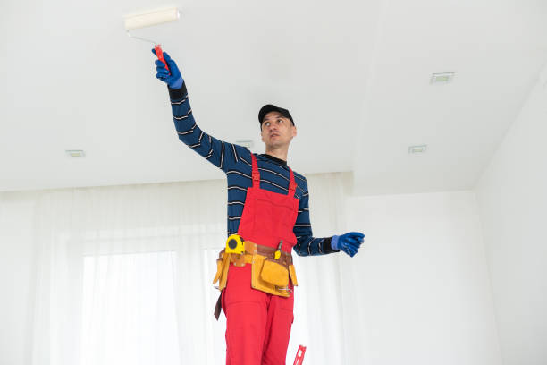 Best HVAC Mold Inspection and Cleaning  in Alliance, NE