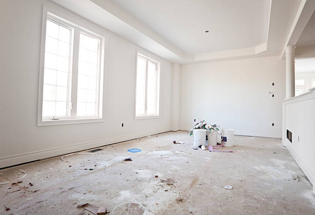 Best Attic Mold Removal  in Alliance, NE