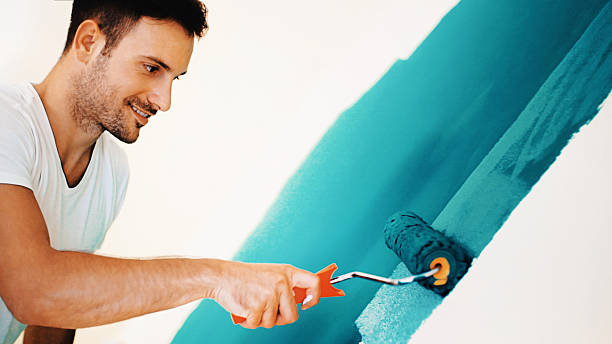 Best Mold Remediation for Healthcare Facilities  in Alliance, NE