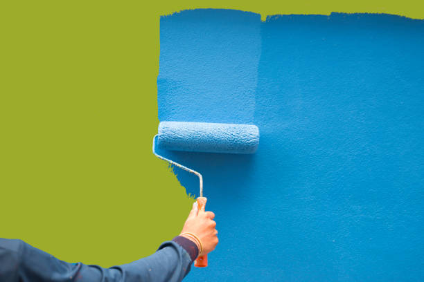 Best Post-Construction Mold Inspection  in Alliance, NE
