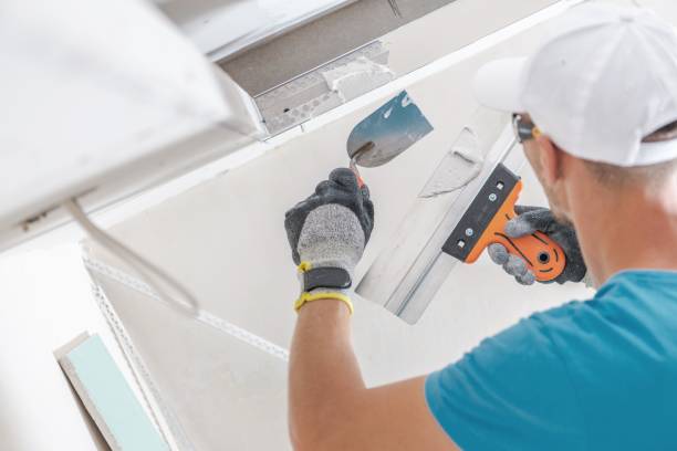 Best Forensic Mold Investigation  in Alliance, NE